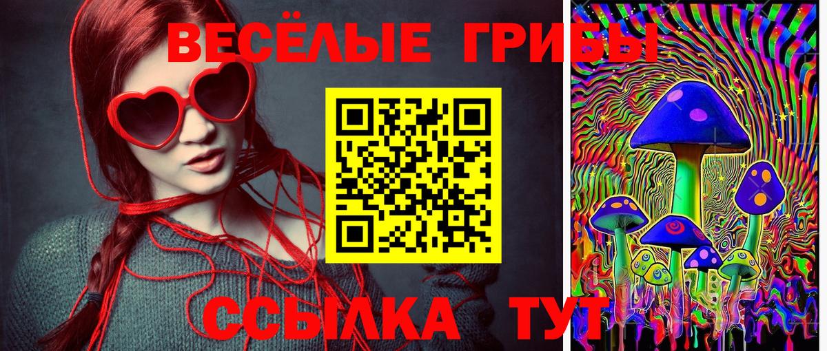 Псилоцибиновые грибы ЛСД Унеча